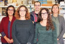 Biólogos portugueses descobrem bactérias para agricultura sustentável