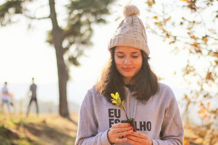 Estudantes da Universidade de Aveiro vão cuidar de árvores ‘bebés’ de viveiro