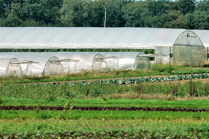 Mil milhões de euros de crédito para jovens agricultores europeus