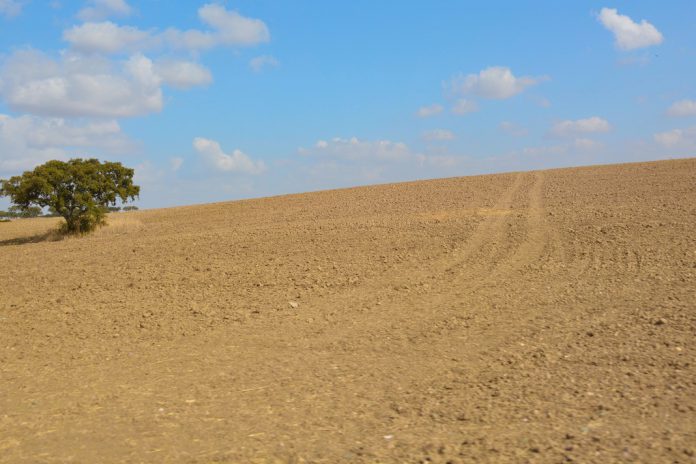 Agricultores do Baixo Alentejo reivindicam medidas do Governo face à situação de seca
