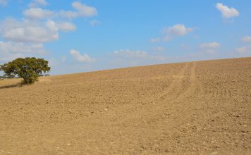 Comissão Europeia propõe 540 milhões de euros e outros apoios aos agricultores que enfrentam a crise dos fertilizantes