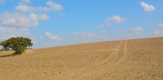 Condições meteorológicas extremas afetam culturas e forragens na Europa, um alerta para uma agricultura mais adaptadas às alterações climáticas Condições meteorológicas extremas afetam culturas e forragens na Europa, um alerta para uma agricultura mais adaptadas às alterações climáticas