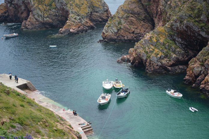 Berlengas: Número de visitas diárias é elevado face às infraestruturas