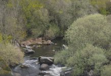 Revisão das listas de poluentes da água e reforço da monitorização