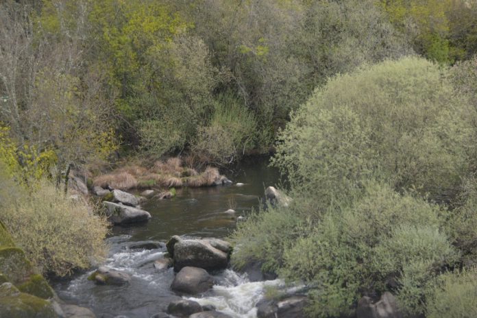 Escassez de água é já uma realidade em Portugal