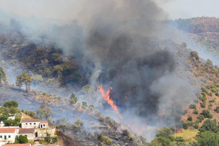 Governo distribui 50,6 milhões de euros da UE dos incêndios de 2017