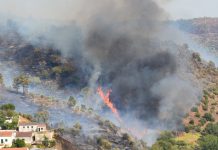 Incêndios rurais sem vítimas civis nos últimos 5 anos