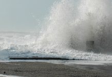 Alterações climáticas em debate na Figueira da Foz