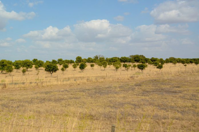 Agricultura sustentável em risco com o fim dos apoios às medidas agroambientais