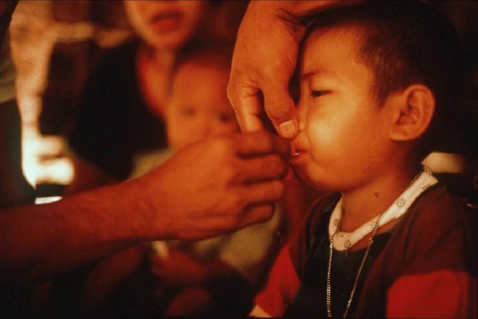 As artemisininas são o melhor medicamento contra a malária