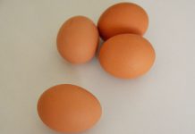 Consumo de um ovo por dia reduz risco de diabetes tipo 2