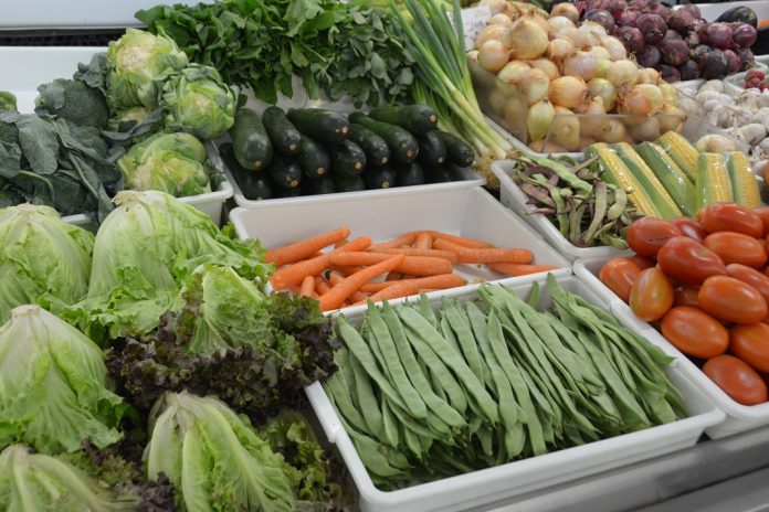 Dieta com frutas e legumes na proporção certa '5 por dia' favorece vida mais longa Dieta com frutas e legumes na proporção certa '5 por dia' favorece vida mais longa