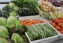Consumo de frutas e vegetais diminui risco de morte em pacientes em diálise