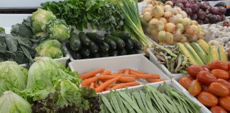 Bactérias: alerta para tripla lavagem de legumes frescos