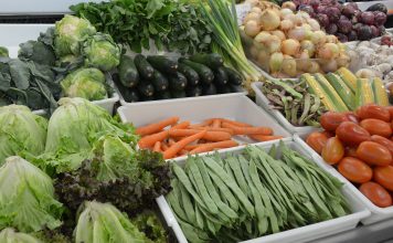 Preservar massa muscular, energia e função imunitária nos idosos através da alimentação e exercícios