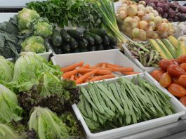Seguir a “Dieta da Saúde Planetária” oferece menor risco de doenças cardiovasculares