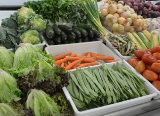 Seguir a “Dieta da Saúde Planetária” oferece menor risco de doenças cardiovasculares Seguir a “Dieta da Saúde Planetária” oferece menor risco de doenças cardiovasculares