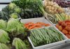 Europeus apoiam importância da Política Agrícola Comum na segurança alimentar da União Europeia