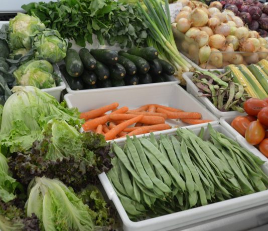 Europeus apoiam importância da Política Agrícola Comum na segurança alimentar da União Europeia