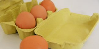 Vila do Conde eleva o Ovo a rei na Cozinha à Portuguesa-Feira de Gastronomia Vila do Conde eleva o Ovo a rei na Cozinha à Portuguesa-Feira de Gastronomia