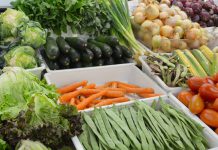 Dieta rica em vegetais reduz fadiga em pacientes com Esclerose Múltipla