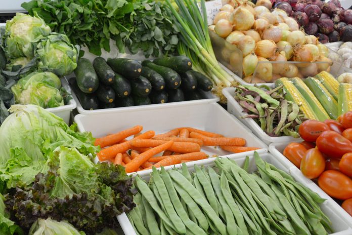 Dieta rica em vegetais reduz fadiga em pacientes com Esclerose Múltipla