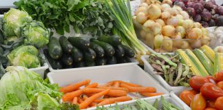 Investigação associa dieta mediterrânica a menor risco de todos os tipos de AVC em mulheres