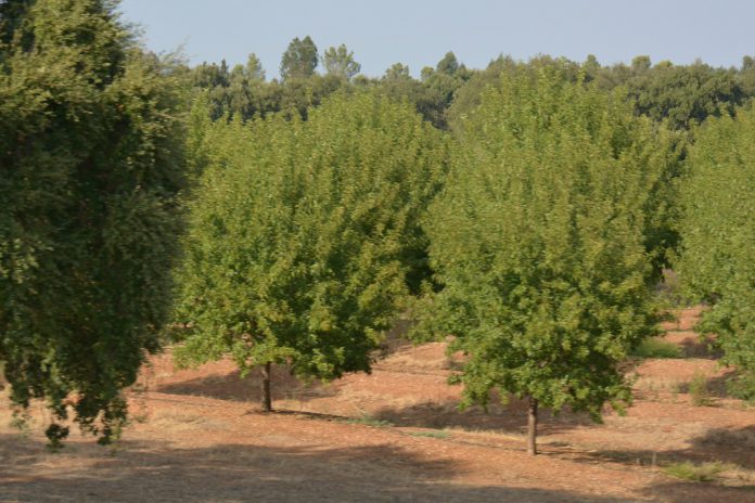 Alojamento local temporário no Aproveitamento Hidroagrícola do Mira