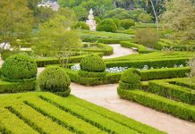 LisbonWeek 2019 arranca no Jardim Botânico da Ajuda