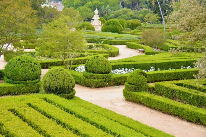 LisbonWeek 2019 arranca no Jardim Botânico da Ajuda