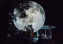 Oeiras recebe Museu da Lua nos jardins do Palácio Marquês de Pombal