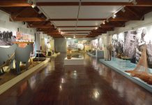 ProMuseus seleciona 45 projetos de museus para apoio de 640 mil euros