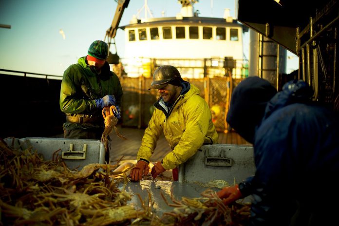 Pesca radical com milhões de dólares em jogo no Discovery Channel