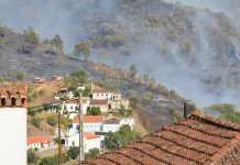 Um milhão de euros para projetos de inovação social no Pinhal Interior