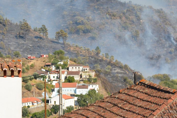 Um milhão de euros para projetos de inovação social no Pinhal Interior