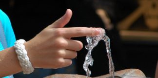 Antioxidantes protegem as células contra contaminantes nocivos da água