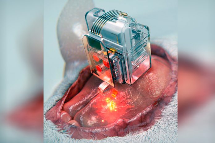 Os cientistas já manipulam as células cerebrais com smartphone Os cientistas já manipulam as células cerebrais com smartphone