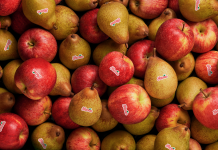 Na semana do Dia Mundial da Alimentação o alerta é para maior consumo de fruta