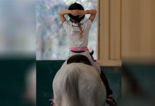 Mundo Mágico” do MAR Shopping Matosinhos ajuda na terapia por cavalos