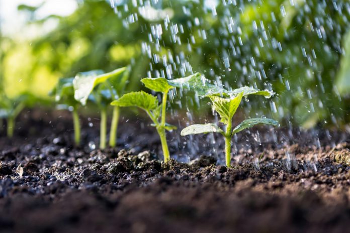 Agricultura Inteligente através do uso de Satélites com desenvolvimento do ISQ