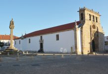 Dia Internacional da Juventude leva jovens a museus e monumentos a norte