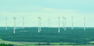 Mais energias renováveis na União Europeia para diminuir dependência dos combustíveis fosseis e aumentar o controlo sobre os preços Mais energias renováveis na União Europeia para diminuir dependência dos combustíveis fosseis e aumentar o controlo sobre os preços