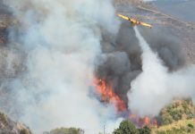 Dezanove projetos de Investigação em Fogos Florestais recebem apoio