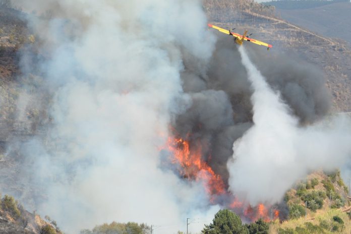 Dezanove projetos de Investigação em Fogos Florestais recebem apoio