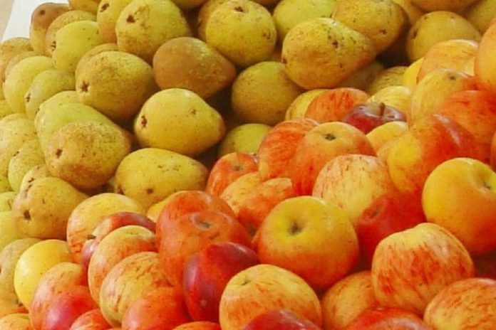 Peras e maçãs portuguesas já podem ser exportadas para a Indonésia