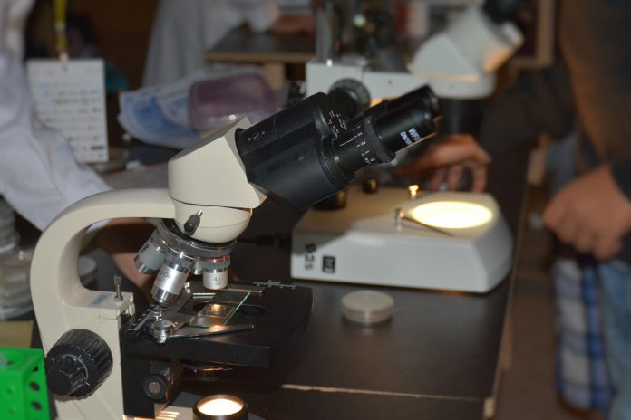 Fundação para a Ciência e a Tecnologia atribui 1.550 novas Bolsas de Investigação para Doutoramento envolvendo 133 milhões de euros