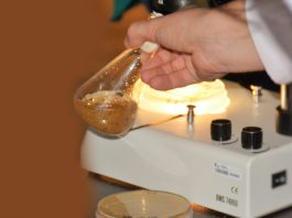 Comissão Europeia procura contributos sobre biotecnologia industrial e biofabricação para proposta de Lei da Biotecnologia II