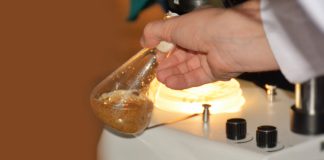 Comissão Europeia procura contributos sobre biotecnologia industrial e biofabricação para proposta de Lei da Biotecnologia II Comissão Europeia procura contributos sobre biotecnologia industrial e biofabricação para proposta de Lei da Biotecnologia II