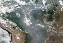 Amazónia: Incêndios na floresta tropical brasileira em imagens da NASA
