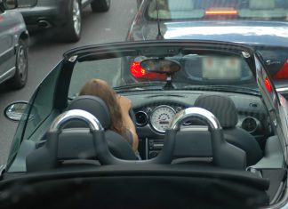 Consumo isolado de cannabis não afeta a condução mas cannabis e álcool aumenta riscos